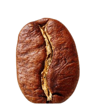 schermafbeelding 2026 03 23 184202 removebg preview