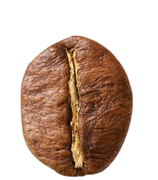 schermafbeelding 2026 03 23 184339 removebg preview